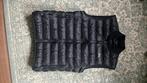 Lacoste bodywarmer Small, Kleding | Heren, Bodywarmers, Ophalen, Nieuw, Maat 46 (S) of kleiner, Lacoste