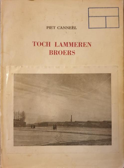 COLLABORATIE RONSE Toch lammeren broers., Boeken, Oorlog en Militair, Gelezen, Ophalen of Verzenden