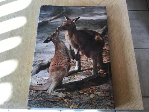 Australië; Prachtig boek, prachtige en uitzonderlijke natuur, Boeken, Reisgidsen, Zo goed als nieuw, Reisgids of -boek, Australië en Nieuw-Zeeland
