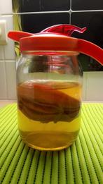 Kombucha zwam met uitleg, Diversen, Ophalen of Verzenden
