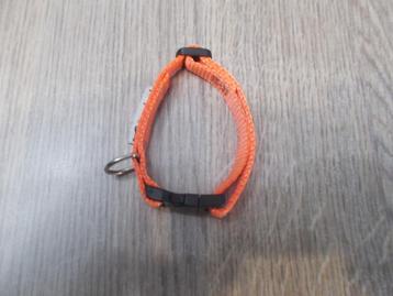 A - Collier orange FERPLAST réglable avec crochet.