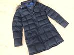Winterjas Tommy Hilfiger L, Maat 38/40 (M), Tommy hilfiger, Blauw, Nieuw