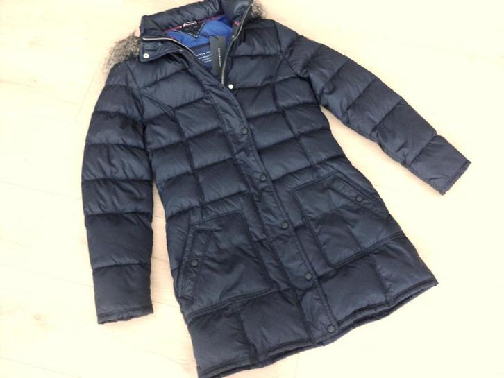 Winterjas Tommy Hilfiger L, Kleding | Dames, Jassen | Winter, Nieuw, Maat 38/40 (M), Blauw, Ophalen of Verzenden