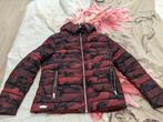 Doudoune homme, Maat 52/54 (L), Nieuw, Ophalen of Verzenden, Hit couture