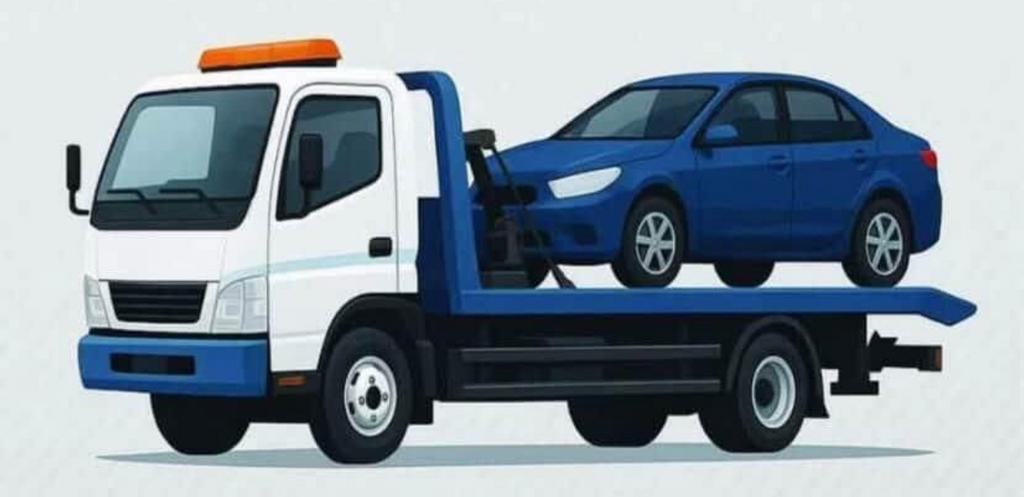 Depnnage 0465656631, Verzenden, Zo goed als nieuw