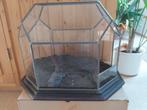 Mini serre voor kamerplanten, Huis en Inrichting, Ophalen, Gebruikt