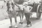 Edmond Huybrechts, met boerenkar en paard 1937-2001, Verzamelen, Ophalen of Verzenden