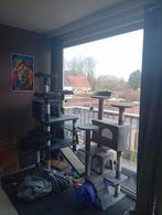 Alles wat je nodig hebt voor een kat, Dieren en Toebehoren, Katten en Kittens | Dekkaters, 6 jaar of ouder