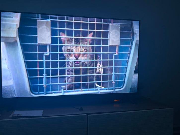 xiaomi 43 inch smart fire tv f2 4k uhd 60hz, TV, Hi-fi & Vidéo, Télévisions, Comme neuf, Smart TV, Enlèvement