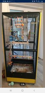 Grande cage, Ophalen, Zo goed als nieuw