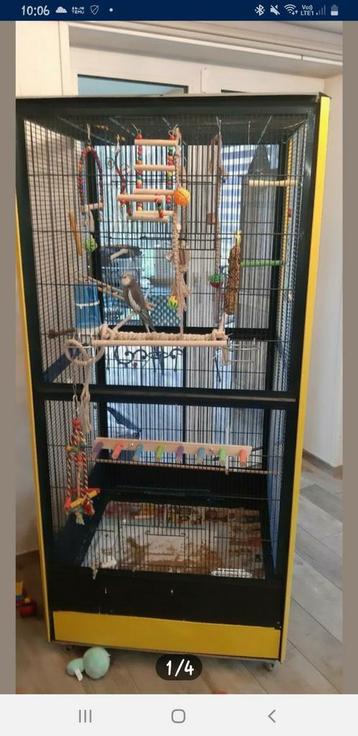 Grande cage  beschikbaar voor biedingen
