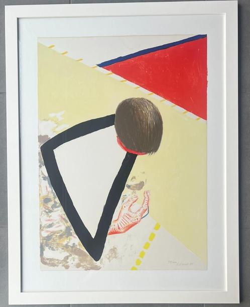 Roger Raveel, Antiek en Kunst, Kunst | Litho's en Zeefdrukken, Ophalen
