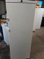 Liebherr vriezer werkt perfect, Elektronische apparatuur, Vriezers en Diepvrieskisten, Ophalen, Zo goed als nieuw