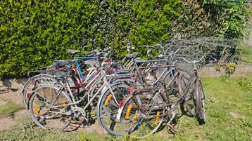 Lot fietsen voor opmaak beschikbaar voor biedingen
