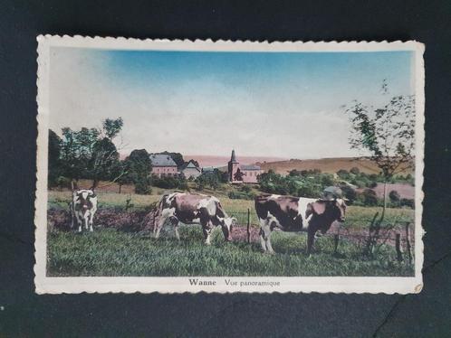 Wanne Trois-Ponts Vue panoramique Cow Vache, Collections, Cartes postales | Belgique, Affranchie, Liège, 1920 à 1940, Enlèvement ou Envoi