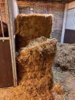 Hooi, Dieren en Toebehoren, Ophalen, Vee