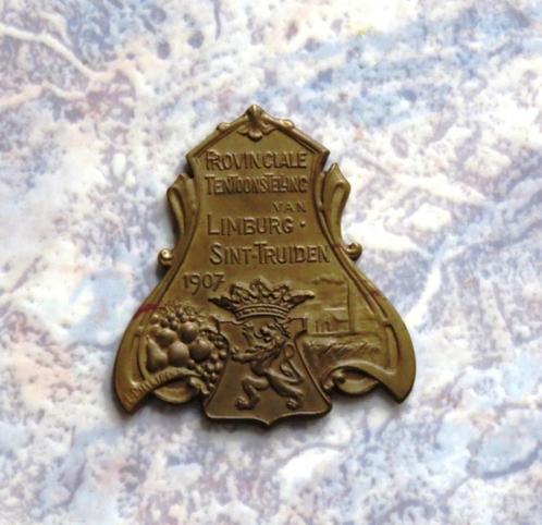 Sint-Truiden Trond Limburg Limbourg Medaille Tentoonstelling, Postzegels en Munten, Penningen en Medailles, Overige materialen