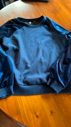 G-star raw blauwe trui, maat 42., Vêtements | Femmes, Pulls & Gilets, Comme neuf, Bleu, G-star raw, Taille 42/44 (L)