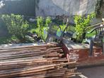 Bamboe, Tuin en Terras, Ophalen