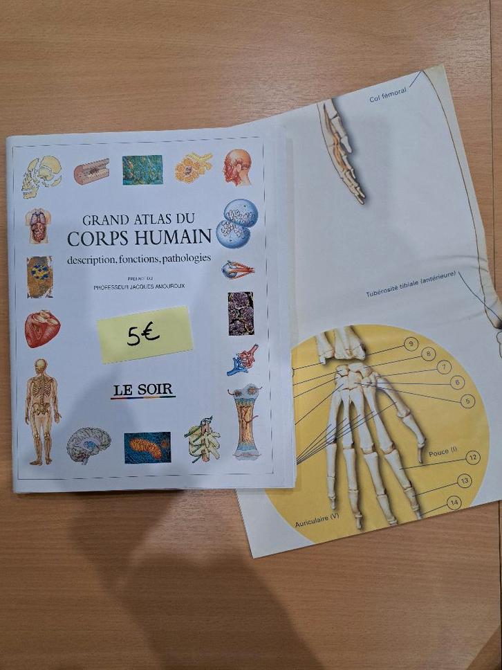 Grand Atlas du corps humain, Livres, Encyclopédies, Neuf, Enlèvement
