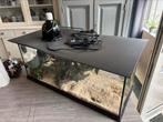 Terrarium, Dieren en Toebehoren