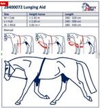 Pony Harry's Horse Longeerhulp Soft voor C-pony, Dieren en Toebehoren, Paarden en Pony's | Hoofdstellen en Tuigage, Overige soorten