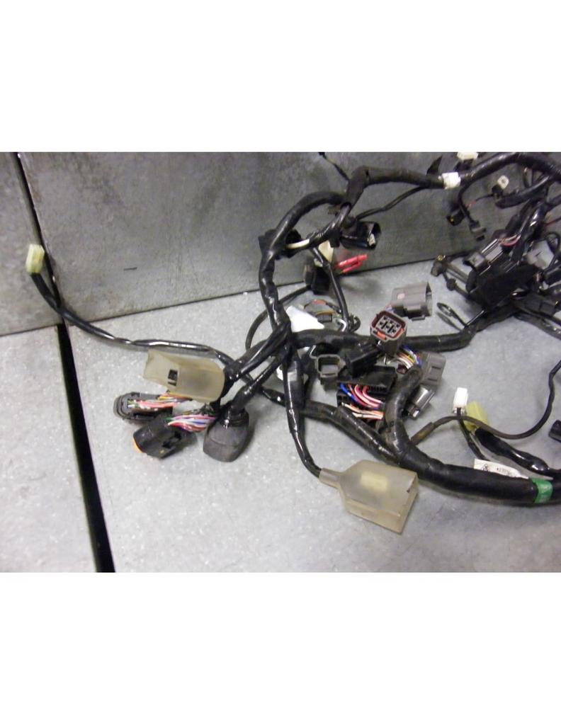 ninja 300R 2012 - 2017 Kawasaki Kabelboom D1-43050