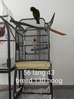 Papegaai kooi, Enlèvement