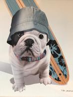 Franse Bulldog surferframe, Ophalen, Zo goed als nieuw, Minder dan 50 cm, Minder dan 50 cm