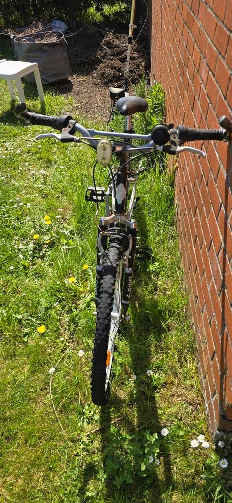 Gehandicapt die u als snee kunt gebruiken (kapoot), Fietsen en Brommers, Ophalen