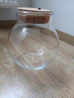 TERRARIUM POUR PLANTES EN VERRE EN PARFAIT ÉTAT NEUF, Enlèvement ou Envoi