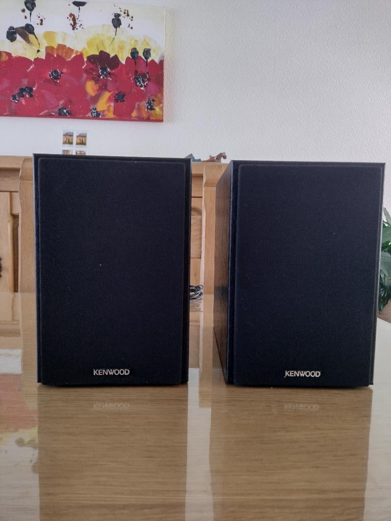 Luidsprekers, Audio, Tv en Foto, Luidsprekerboxen, Zo goed als nieuw, Minder dan 60 watt, Front, Rear of Stereo speakers, Ophalen