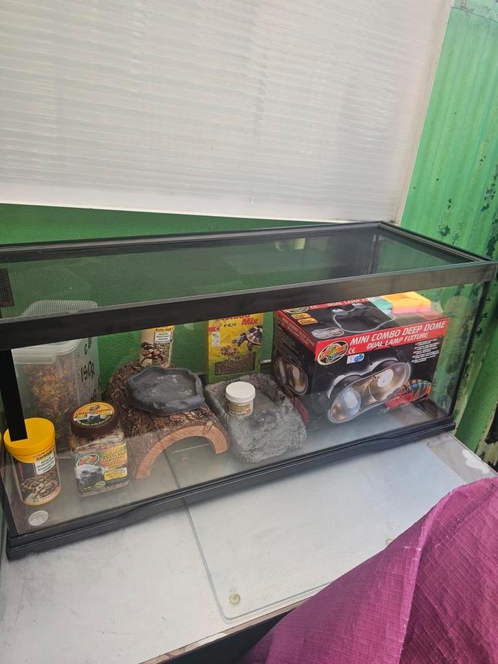 Aquarium avec nourriture pour tortue, Animaux & Accessoires, Reptiles & Amphibiens | Accessoires, Enlèvement