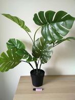 Plastic kamerplant Fejka Ikea, Ophalen, Overige soorten