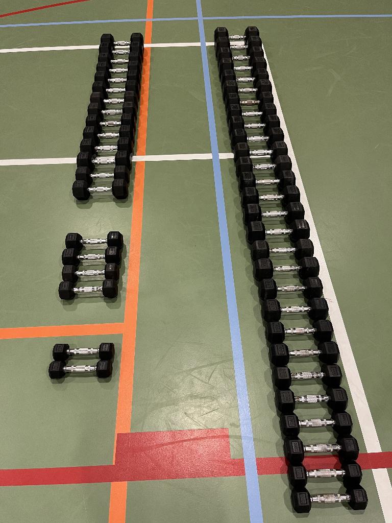 STRIDE Molded Hex Rubber Dumbbell (pair; 8kg), Sports & Fitness, Équipement de fitness, Enlèvement, Utilisé, Haltère