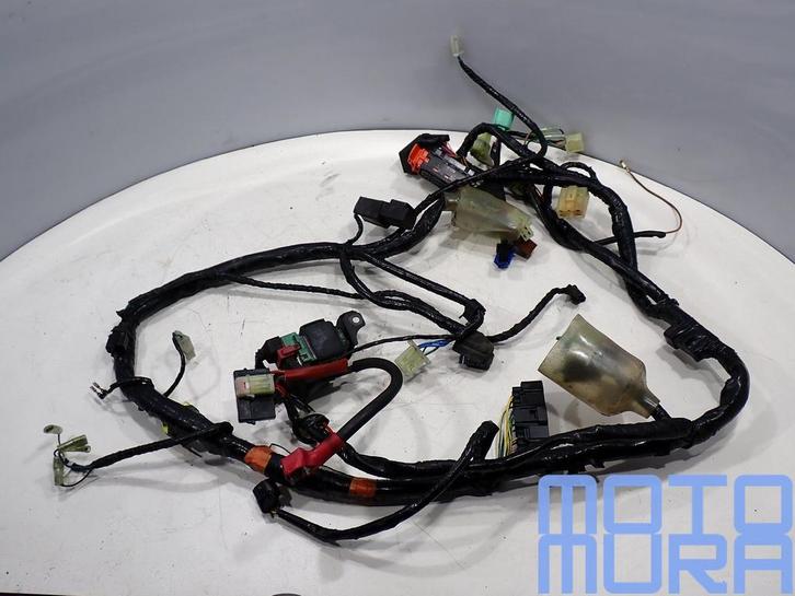 Kabelboom voor de Honda CBF 600 2004 - 2006 CBF600 draadboom, Motos, Pièces | Honda, Utilisé, Enlèvement ou Envoi