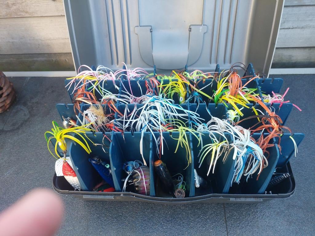 pilkers zeevissen, Ophalen