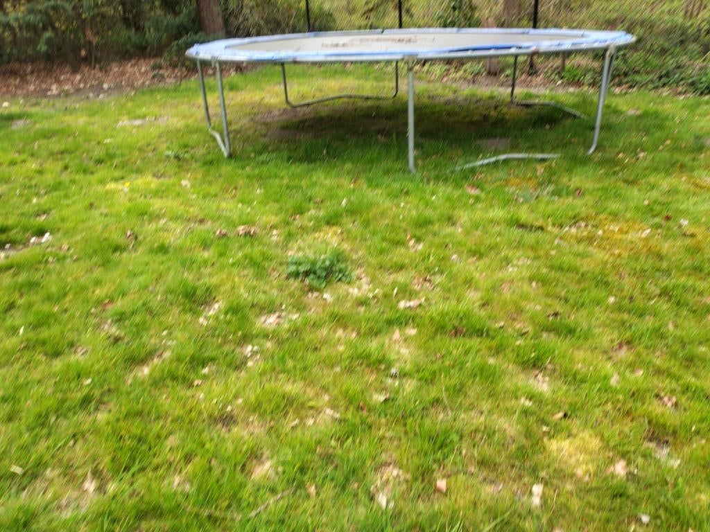 Trampoline, Enlèvement