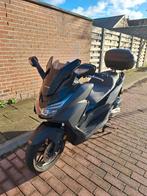 FORZA 125 - 9910 km - 1 ste EIGENAAR - NIEUWSTAAT ! ! !, Scooter, Permis Moto A1 minimum, Particulier, Éclairage LED
