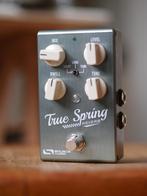 Audiobron: True Spring Reverb, Muziek en Instrumenten, Ophalen of Verzenden, Zo goed als nieuw, Reverb