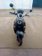 Leone arrow, Enlèvement, Électrique