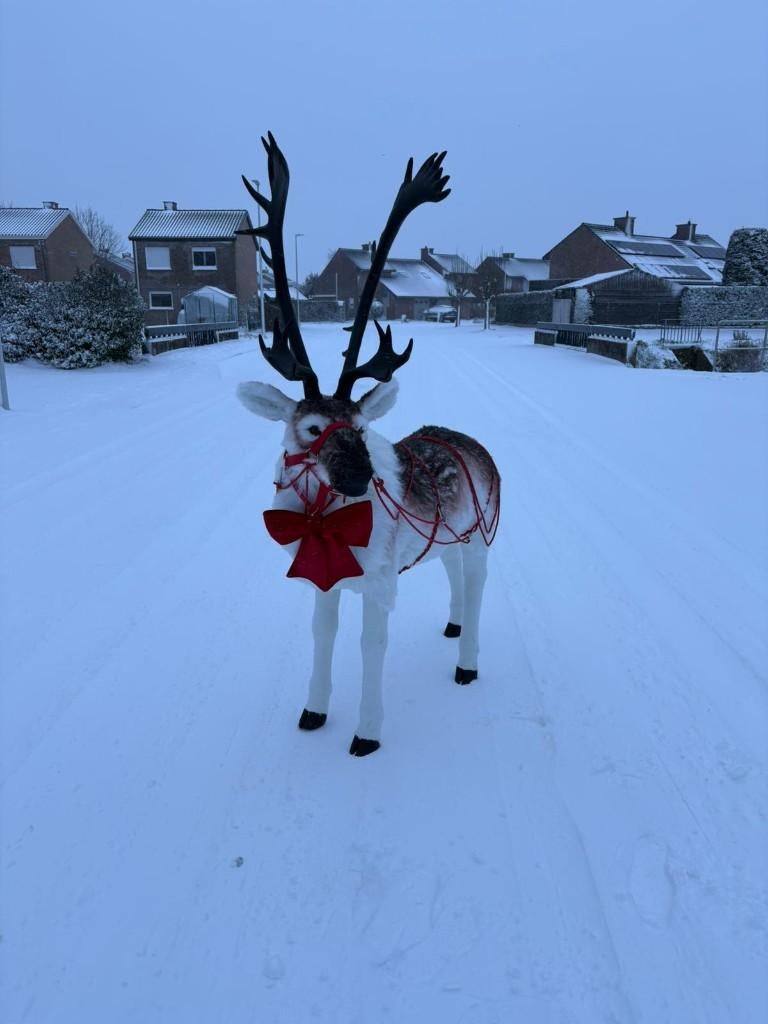 Rendier Decoratie Etalage, Diversen, Kerst, Ophalen of Verzenden, Zo goed als nieuw