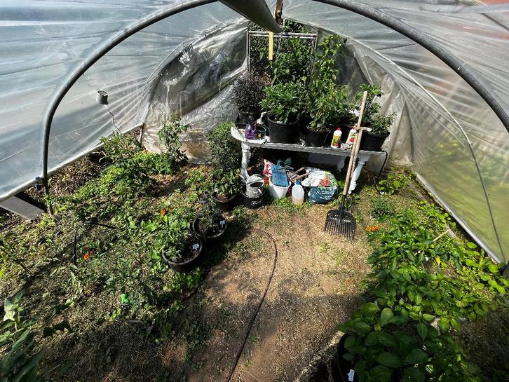 Tunnelserre buizen., Jardin & Terrasse, Jardin & Terrasse Autre, Utilisé, Enlèvement