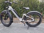 Radrhino electrische fiets met ondersteuning, Ophalen