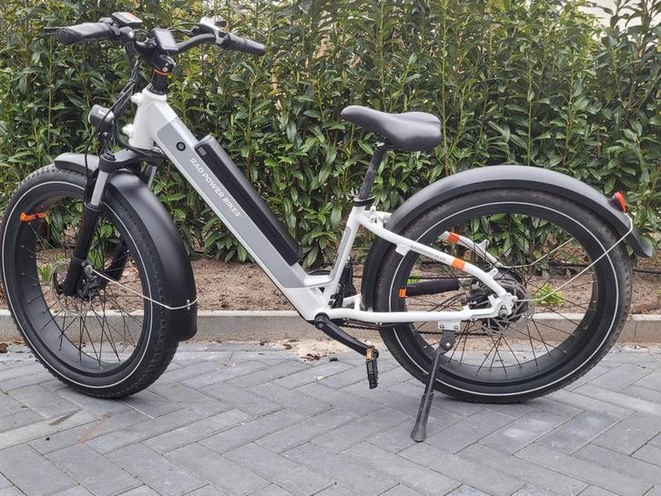 Radrhino electrische fiets met ondersteuning, Fietsen en Brommers, Elektrische fietsen, Ophalen