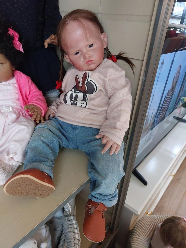 Rebornpop, Verzamelen, Poppen, Ophalen