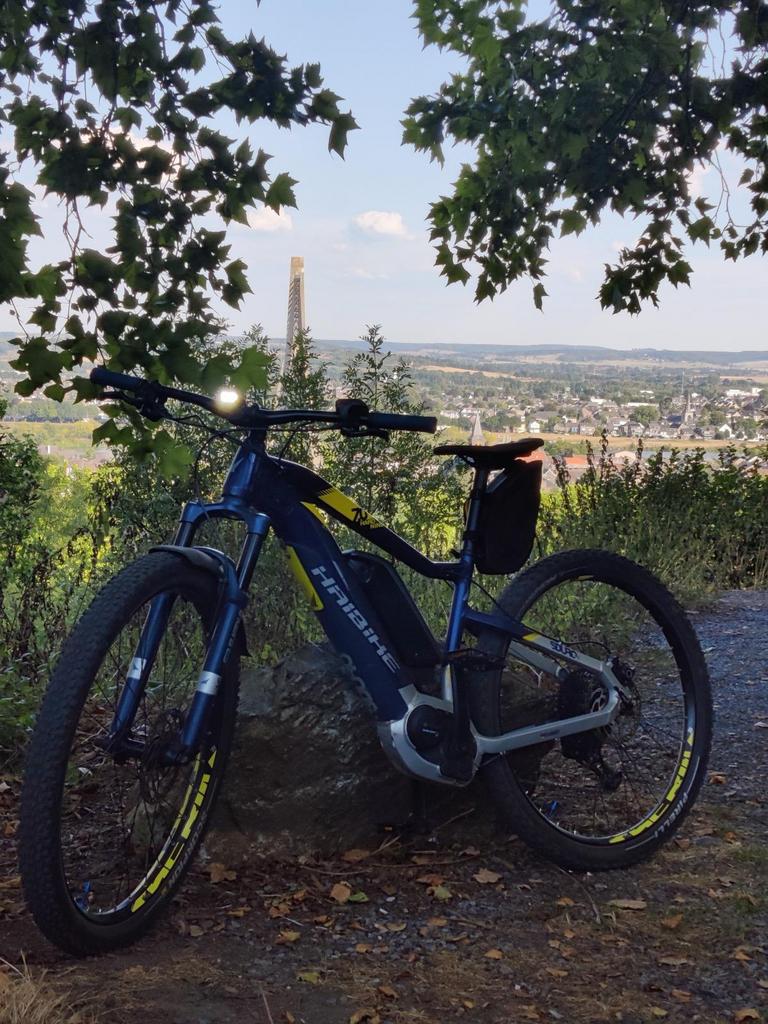 Haibike E-bike elektrische fiets 1000W batterij Maat L, Ophalen, Zo goed als nieuw