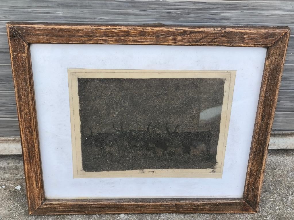 Gravure les taureau signe François marechal, Antiquités & Art, Art | Eaux-fortes & Gravures, Enlèvement ou Envoi