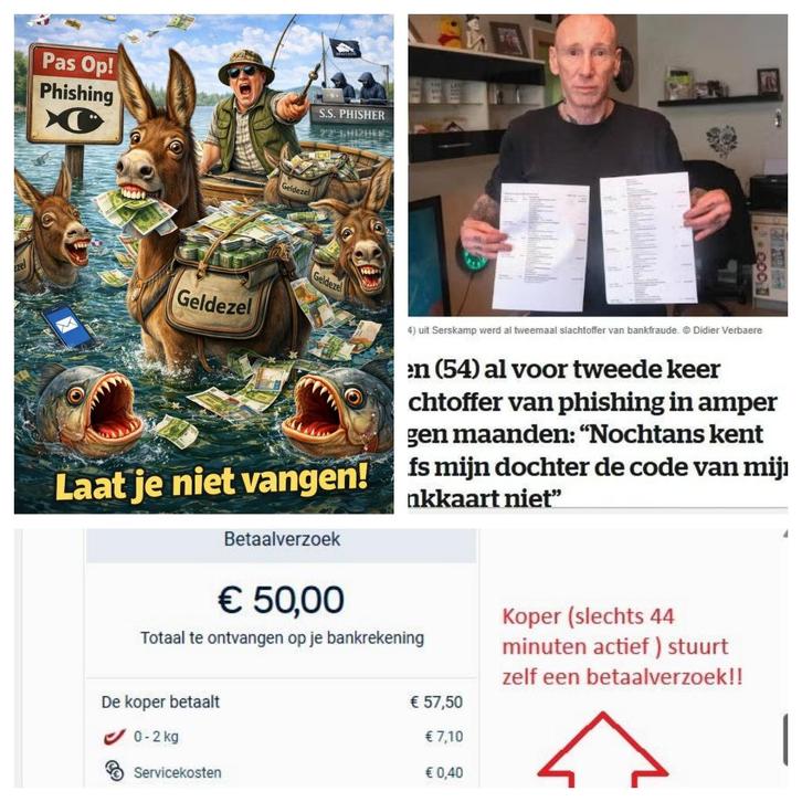 Opgelet voor Phising!! (oplichting), Antiek en Kunst, Kunst | Beelden en Houtsnijwerken, Ophalen of Verzenden