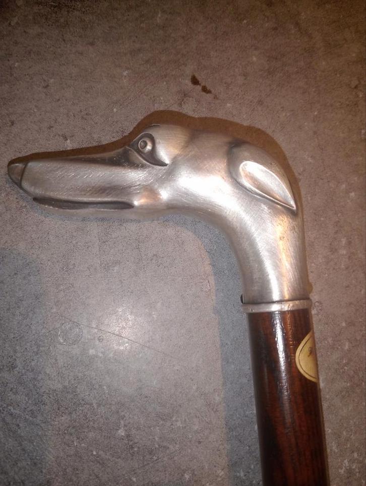 Canne lévrier argent, Divers, Bâtons de marche